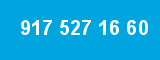 917 527 16 60